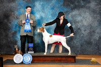 Pointer #5 Sat G1 Judge Jim Fehring