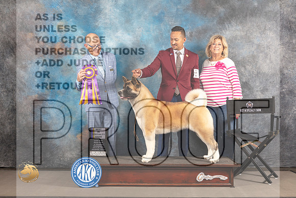Akita #20 WED BISS Judge Donald Plummer_MJ_2299_Houston_2022_HR3