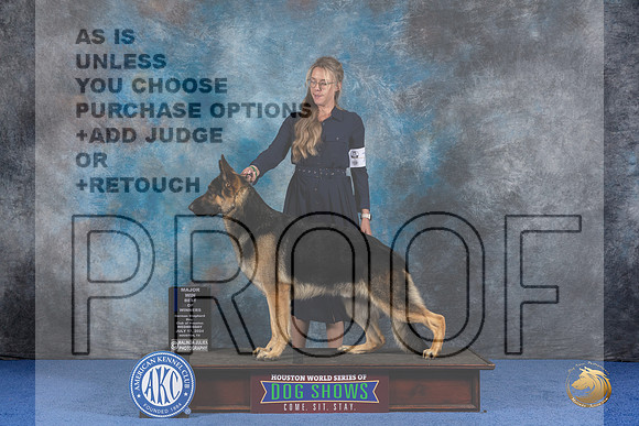 German Shepherd Dog #7 WED BOWM Judge Danelle Brown__JP_7568_Houston_2024_HR3