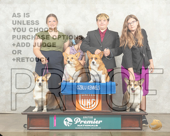 Pembroke Welsh Corgi Sun Family__MJ_9564_Premier_2022_HR3
