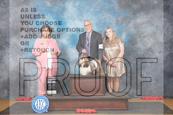 Shih Tzu #5 Sun G4 Judge Nikki Riggsbee__JP_0906_Sulphur Springs_2024_HR3