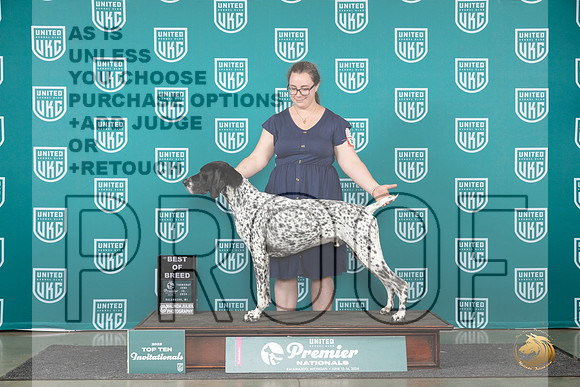 German Shorthaired Pointer #317 Thur T10BOB Judge Lori Sargent__JP_2065_Premier_2024_HR3