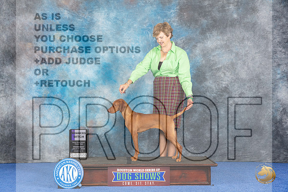Vizsla #12 Wed WB Judge Judge Ida Kavafian__JP_7475_Houston_2024_HR3