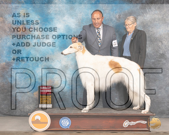 Borzoi #10 Thurs G2 Judge Donnelle RichardsMMJ_2409_Mdlnd2022_HR3