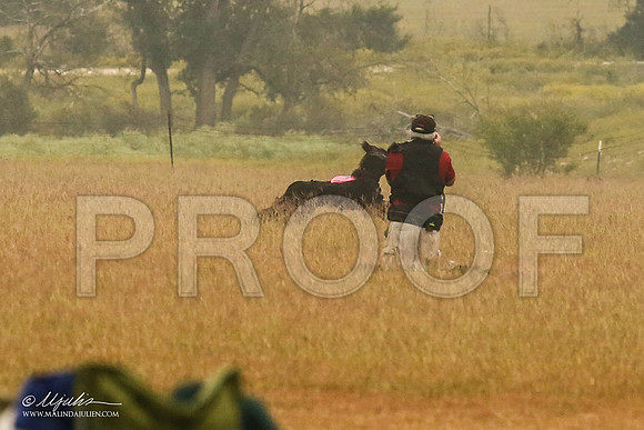 _MJ_2805-AfgBeltonOct2014-HR3