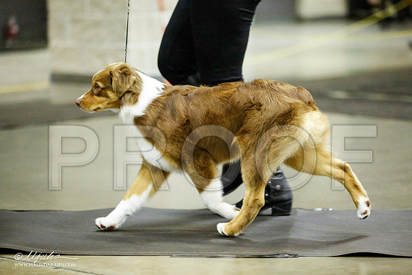 _JJ_6042-BeltonJan2015IABCA-HR3