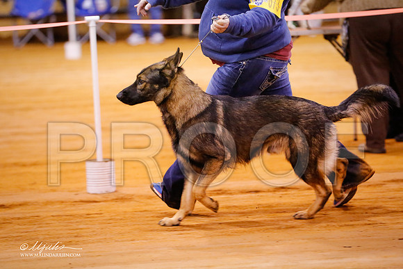 GSD-9176-MrshllDec13-HR