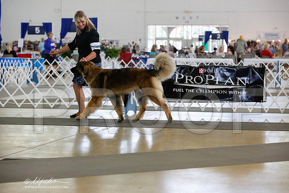_JN_3463-DallasJul2014-HR3