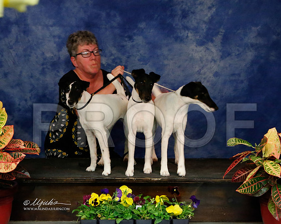 _J2_8662-NormNov2013-HR