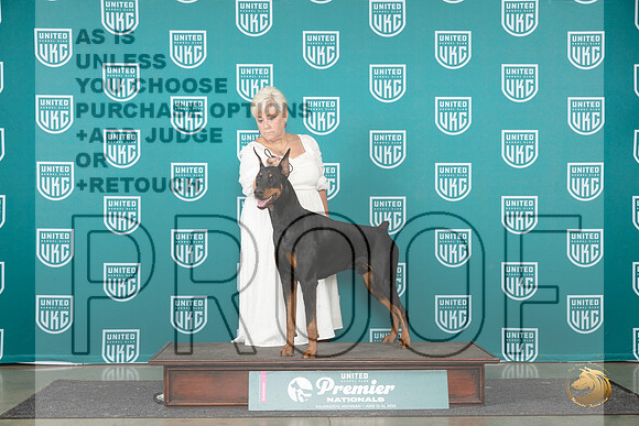Doberman Pinscher #1263 Sat COC1 Judge Lori Sargent__JP_2113_Premier_2024_HR3