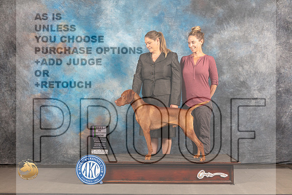 Vizsla #17 WED BISweeps Judge Deborah Edwards_MJ_2657_Houston_2022_HR3