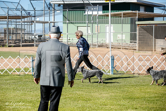 _JN_4231-AlamogordoOct2014-HR3