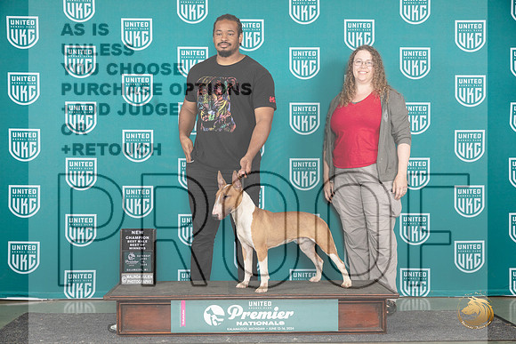 Bull Terrier #1414 Sat BOWCH Judge Carianna Glenn__JP_3281_Premier_2024_HR3