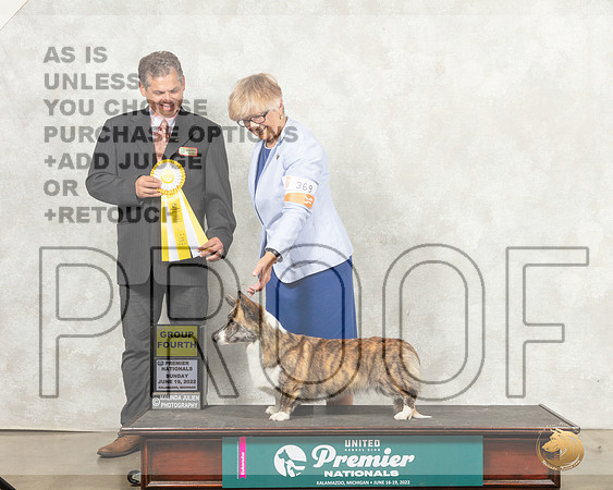 Cardigan Welsh Corgi #139 Sun G4 Judge Antonio Raposo__MJ_9371_Premier_2022_HR3
