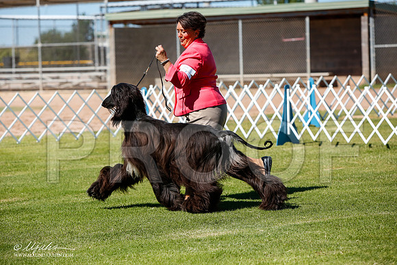 _JJ_4789-AlamogordoOct2014-HR3