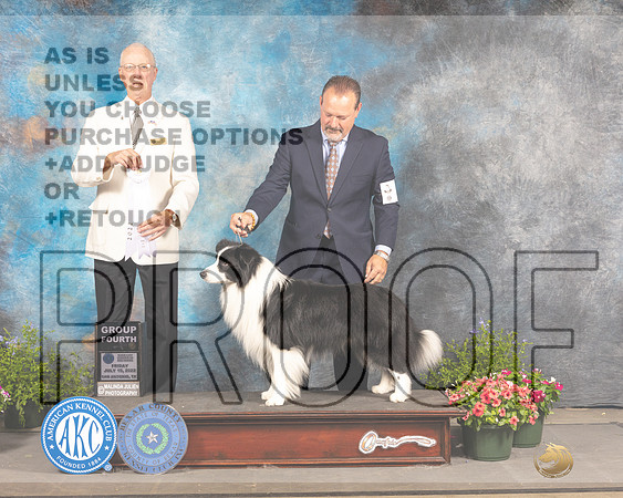 Border Collie #5 Fri G4 Judge Allen Odom-_MJ_0080e-SA2022_HR3