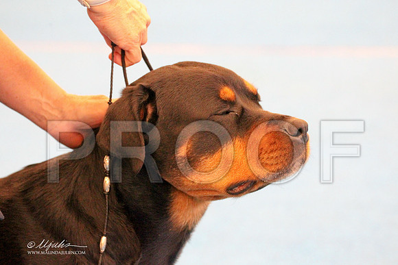 Rott-9609LR