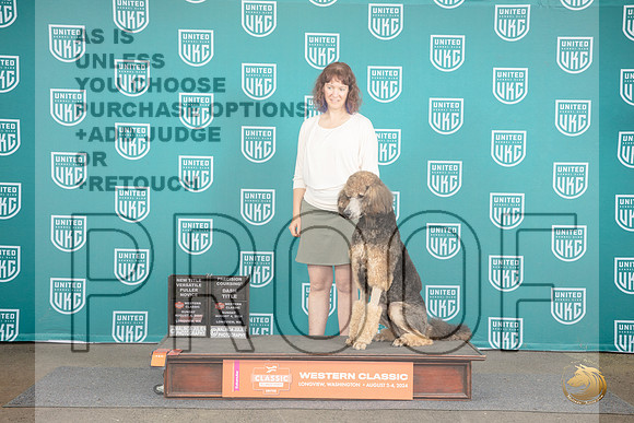 Poodle Standard MC #253 Sun NT No Judge __JP_1711_Longview WA_2024_HR3
