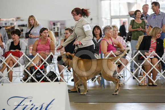 _JJ_1818-DallasJul2014-HR3