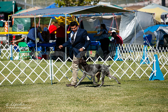 _JJ_1416-AlamogordoOct2014-HR3