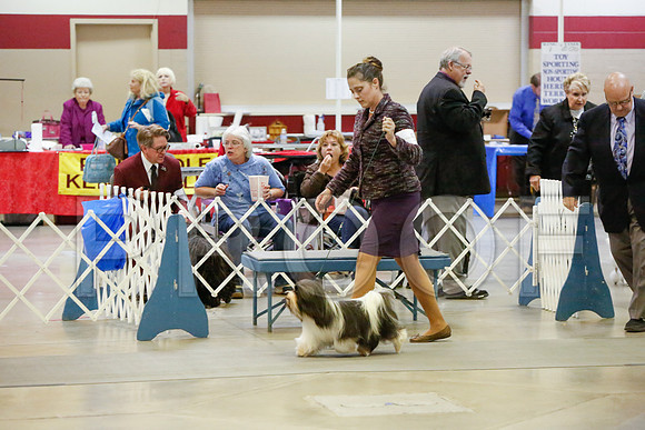 _JJ_4386-AmarilloSept2014-HR3
