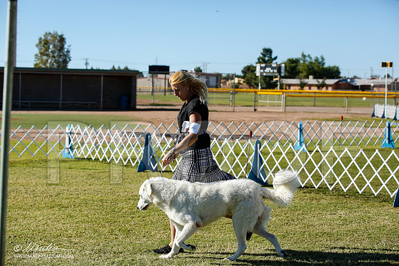 _JN_7762-AlamogordoOct2014-HR3
