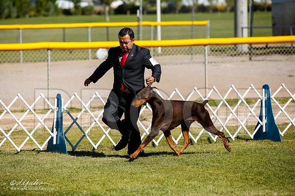 _JJ_9734-AlamogordoOct2014-HR3