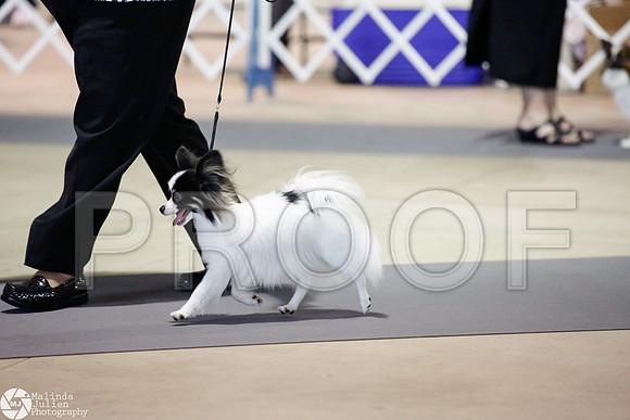 _JJ_3286-SanAntonioJul2014-HR
