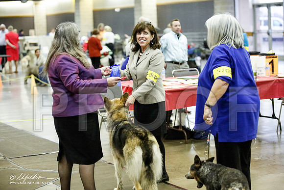 _JJ_7035-BeltonJan2015IABCA-HR3