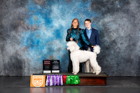 Poodle Std #186 Sunn G3 JUdge Terri Rein CH
