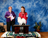 American Eskimo #23 Fri BOS Maj +A1