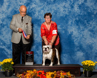 Bulldogs #6 Sun BOS Campbell Carol Judge Mr Gary L Andersen