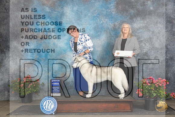 Siberian Husky #11 Fri G1 Judge Wendy G Willhauck__JP_4463_San Antonio_2024_HR3