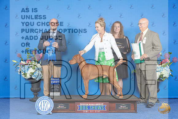 Vizsla #9 SUN G1Judge Jamie Hubbard__JP_0798_Houston_2024_HR3