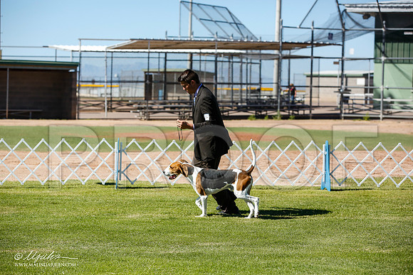 _JN_5938-AlamogordoOct2014-HR3