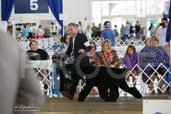 _JJ_1612-DallasJul2014-HR3