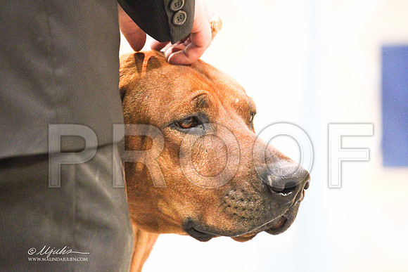 Ridgeback-9198LR