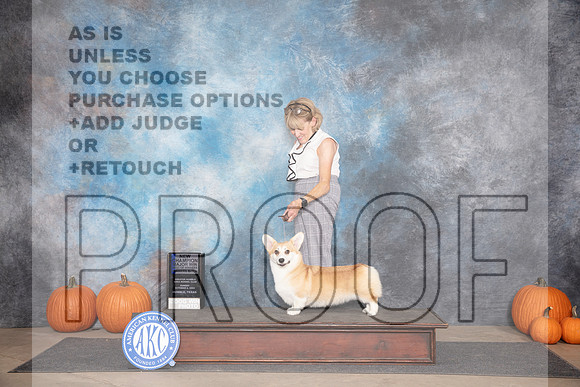 Rembroke Welsh Corgi #32 Sun WBBOW M NCH Judge Ray Filburn__JP_9464_Humble_2024_HR3