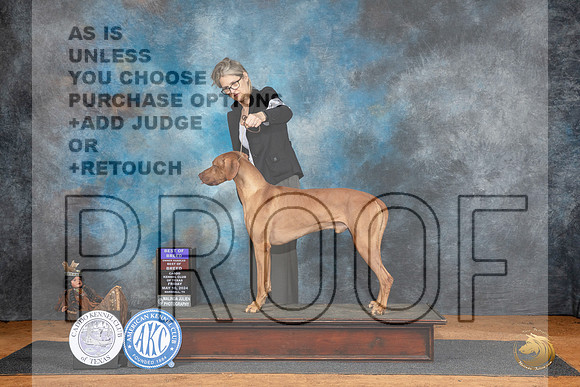Rhodesian Ridgeback #5 Fri BOBOHBOB Judge Karen Hynek__JP_7107_MARSHALL_2024_HR3
