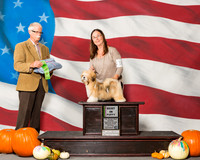 Lhasa Apsos #16 Sun P BiS Merz Carole Kathy Hamilton Tonia Holibaugh Agent Tonia Holibaugh Judge Mr Robert R Frost