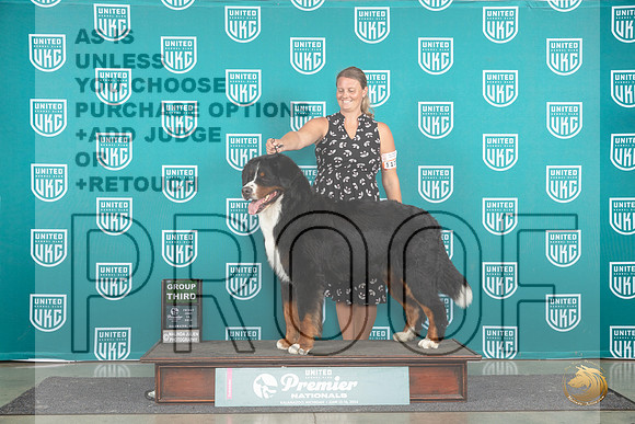Bernnese Mountain Dog #1173 Fri G3 Judge Deb Allen__JP_1741_Premier_2024_HR3