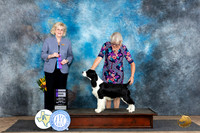 English Springer #? FRi WD Judge Vicki Abbott