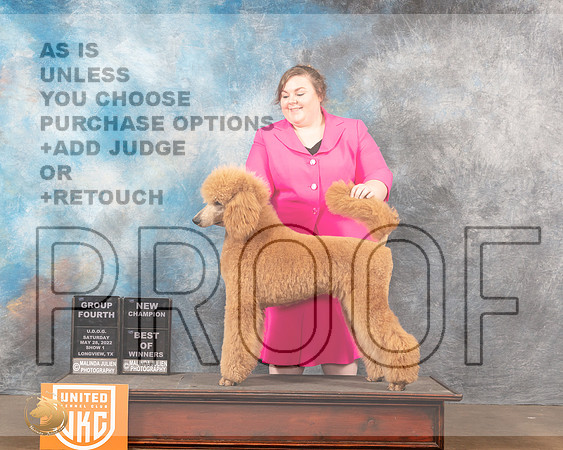 Poodle Std #137 Sat1 G4 Judge Lynn MartinMMJ_5945_Lngvw2022HR3