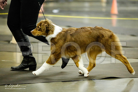 _JJ_6035-BeltonJan2015IABCA-HR3