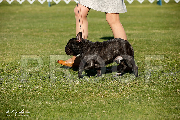 _JJ_6331-AlamogordoOct2014-HR3