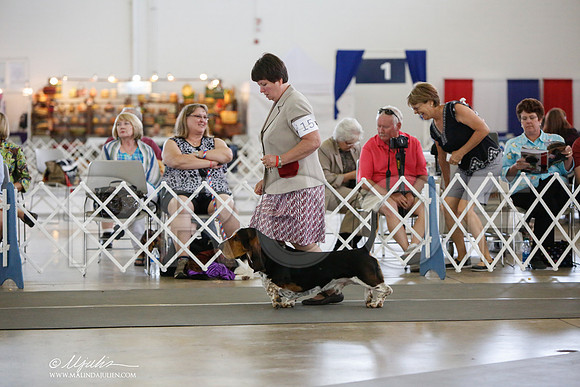 _JJ_2923-DallasJul2014-HR3