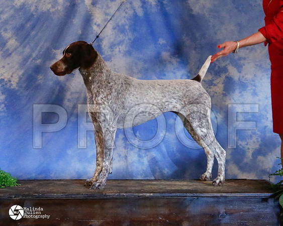 GSP-9815-HstnMar2014-HR3