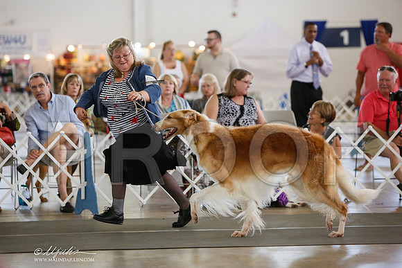 _JJ_2716-DallasJul2014-HR3