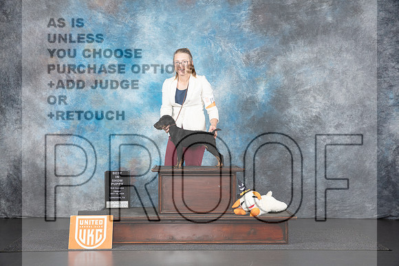 Jagd Terrier #135 Fri PBIS Judge Lila Fast__JP_1075_UKCLNGVIEWOCT2024_2024_HR3