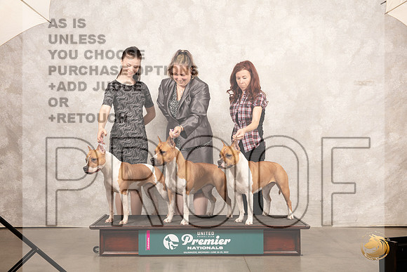 American Pit Bull Terrier Family__MJ_8427_Premier_2022_HR3